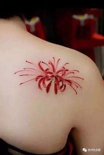  彼岸花纹身图案，探寻永恒之花的神秘魅力--第1张