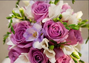  ，11朵花语是什么意思，11朵花的花语，一心一意、一生一世--第1张