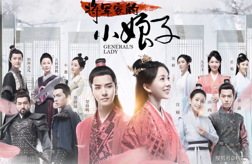  我家老公是将军穿越剧全集观看--第1张