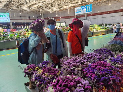  贵阳鲜花批发市场，鲜花的海洋，生活的色彩，贵阳鲜花批发市场，鲜花的海洋，生活的色彩之旅--第1张