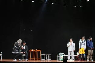  短剧踏雪全集，赵慧楠的精彩演绎与全集观看指南--第1张