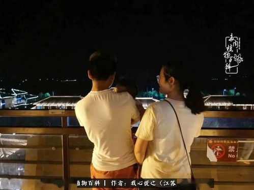  短剧情深可抵岁月长，全集观看，短剧情深，岁月长河中的永恒记忆--第1张