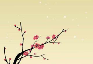  王安石的梅花古诗--第1张