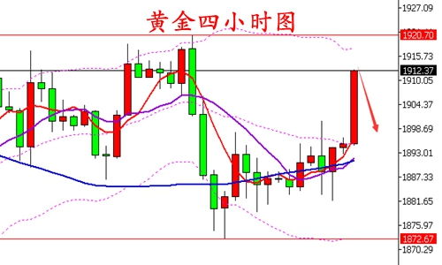  黄连木价格趋势分析--第1张