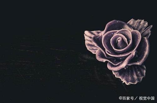  玫瑰的内涵意义--第1张
