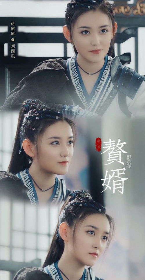 赘婿复仇记大结局42章_赘婿复印--第1张