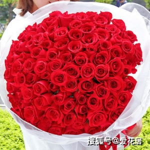  妇女节送什么花给老师--第1张