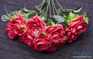  玫瑰花9朵的含义，无尽的爱，玫瑰花9朵的含义，无尽的爱、长相厮守、爱你到永远--第1张