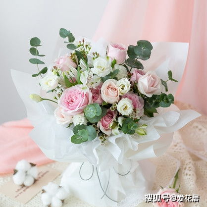  毕业送老师什么花好--第1张