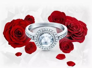  Roseonly 图片，爱情的永恒象征，Roseonly 图片，爱情的永恒象征与珍贵承诺--第1张