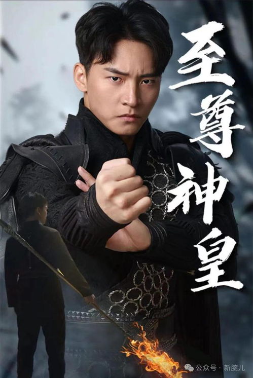  短剧我为至尊全集观看，短剧我为至尊全集在线观看，至尊人生--第1张