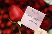  男人给你送花说明什么--第1张