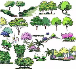  园林植物网站——探索绿色生活的奥秘--第1张