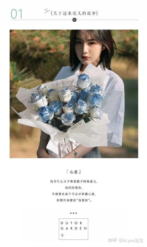  密西根碎冰蓝玫瑰多少钱一朵，密西根碎冰蓝玫瑰的价格--第1张