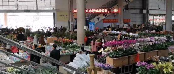  广州玫瑰花批发市场，花海中的财富之门，广州花海财富之门，广州玫瑰花批发市场--第1张