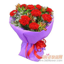 红色康乃馨花束，爱的永恒象征，红色康乃馨花束，永恒之爱的象征--第1张