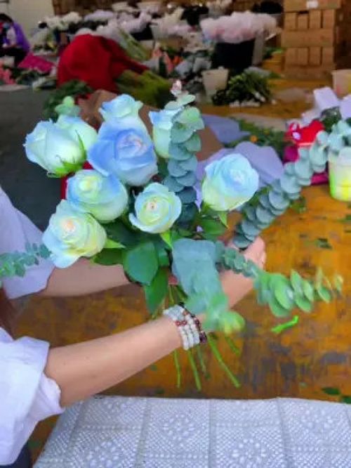  碎冰蓝玫瑰，花语与寓意的独特诠释，碎冰蓝玫瑰，独特的花语与寓意诠释--第1张