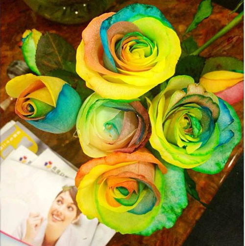  七彩玫瑰花语是什么意思，七彩玫瑰的花语是，我愿意、不放弃的爱、珍惜眼前人。--第1张