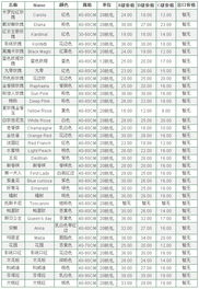  玫瑰花的价格，市场动态与购买建议--第1张