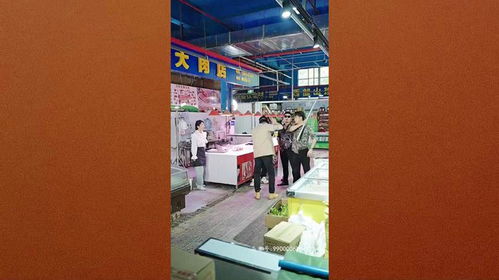  短剧少年无双全集观看，少年无双全集在线观看，热血少年，无畏无双--第1张