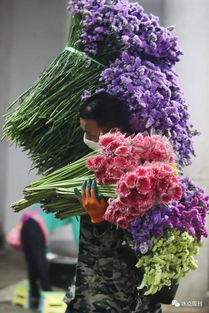  上海鲜花批发商，鲜花市场的领军力量--第1张