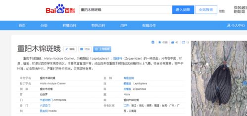  重阳木锦斑蛾幼虫的研究，重阳木锦斑蛾幼虫的生态习性研究--第1张