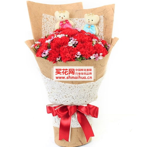  红色康乃馨送老师合适吗，红色康乃馨送给老师合适吗--第1张