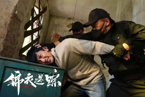  短剧锦衣回乡全集观看，锦衣回乡，全集观看--第1张