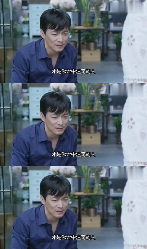  短剧破局重逢，酷飒前妻归来全集观看--第1张