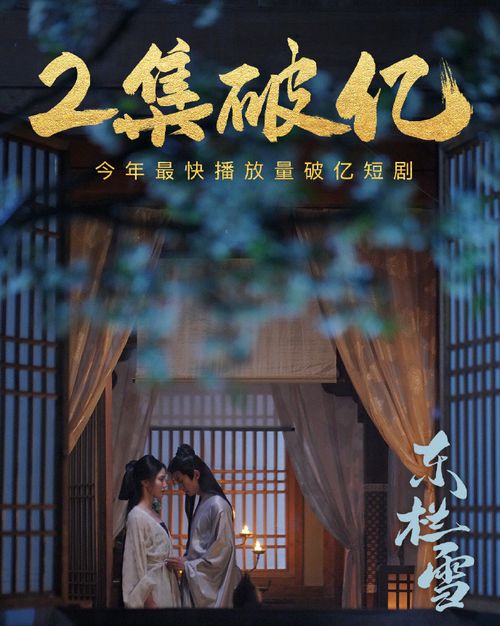  短剧东栏雪全集，一场视觉盛宴的雪中世界，雪中世界，东栏雪短剧全集--第1张