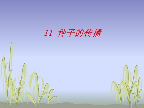  九节传播种子的方式--第1张