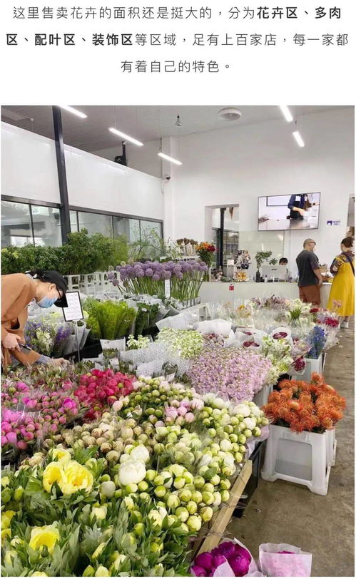  北京花店连锁，打造美丽与品质的完美结合--第1张