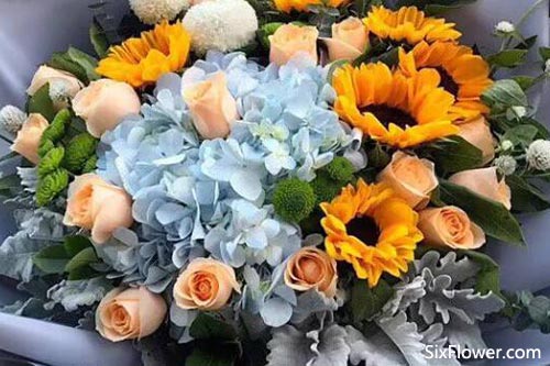  应该送老师什么花最好，送老师什么花最合适--第1张