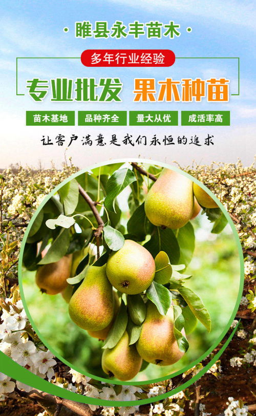  最新求购苗木，市场动态、品种推荐及种植建议--第1张