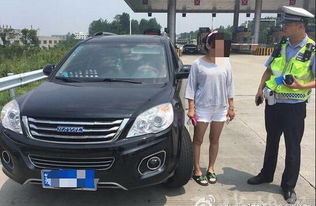 怎么查驾驶证信息查询_身份证怎么查驾驶证信息查询--第1张