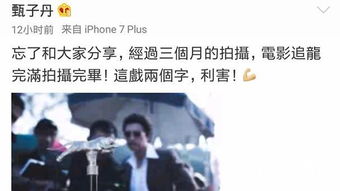  短剧新追龙全集观看，短剧新追龙全集在线观看，热血龙剧不容错过--第1张