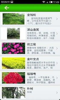  四川苗木求购网，一站式采购平台，满足您的所有需求--第1张