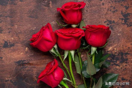  玫瑰花18朵代表什么意思，玫瑰花18朵代表爱到永久的意思。--第1张