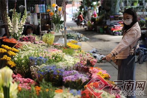 花市--第1张