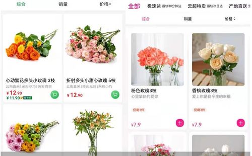  鲜花电商平台，让鲜花消费更便捷、更高效--第1张