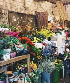  成都实体花店，浪漫与艺术的完美结合，成都实体花店，浪漫与艺术的完美结合的美丽花园--第1张