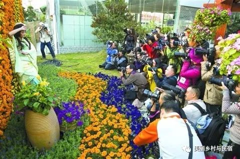  鲜花小镇官网，打造美丽花海，让生活更美好--第1张
