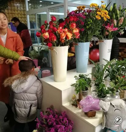  西安高新区鲜花店，鲜花的美丽与温馨的源泉--第1张