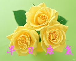  揭秘，11朵黄玫瑰的神秘含义--第1张