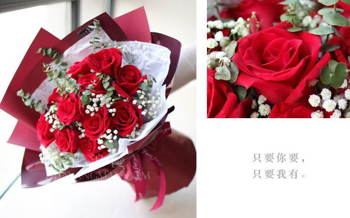  玫瑰花11朵的寓意，玫瑰花11朵，浪漫与爱情的象征--第1张