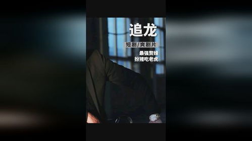  短剧新追龙全集观看--第1张