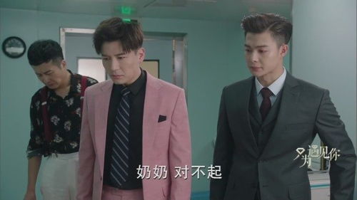  傻妻归来，秦爷跪地求复合全集--第1张