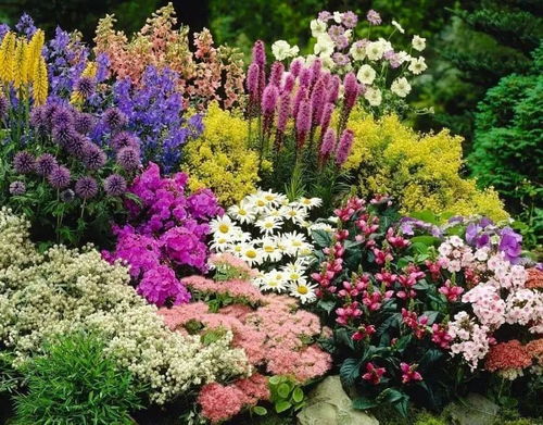  绿植花卉网站，打造您的美丽家园，绿植花卉网站，打造您的美丽家园，让生活更美好--第1张