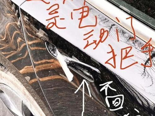  短剧拐个总裁当爹地全集观看，拐个总裁当爹地全集在线观看，短剧喜剧--第1张