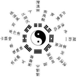  风水在现代社会中，已经不再是一个神秘莫测的词汇。它是一种通过观察自然环境、地理位置、建筑布局等因素，来预测和调整运势的方法。而在风水学中，凤尾竹被认为具有独特的风水作用，能够为家庭带来好运和吉祥。